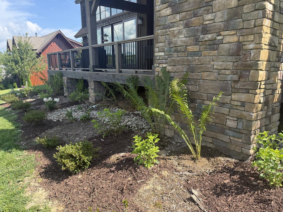 Freshly planted beds of ferns and shrubs along a stone foundation and dry creek bed